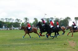 爱游戏官方-包含马赛比赛燃情打响，激发球迷热情的词条