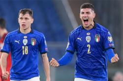 爱游戏体育官网-芬兰拿下爱尔兰，凭借顽强拼劲取得胜利的简单介绍