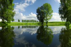 爱游戏APP-从马赛到NBA，竞技体育中正面击溃的战术哲学