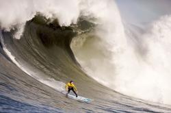 爱游戏官方-加维，少年英雄的加时绝唱—西班牙险胜厄瓜多尔背后的关键先生