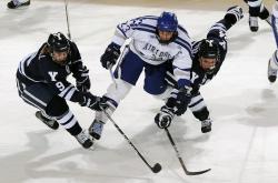 爱游戏娱乐-双龙会，法国险胜波兰之夜，马龙关键制胜的体育哲学