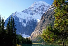 爱游戏官方-里昂逆转马赛，佩德里带队取胜的简单介绍