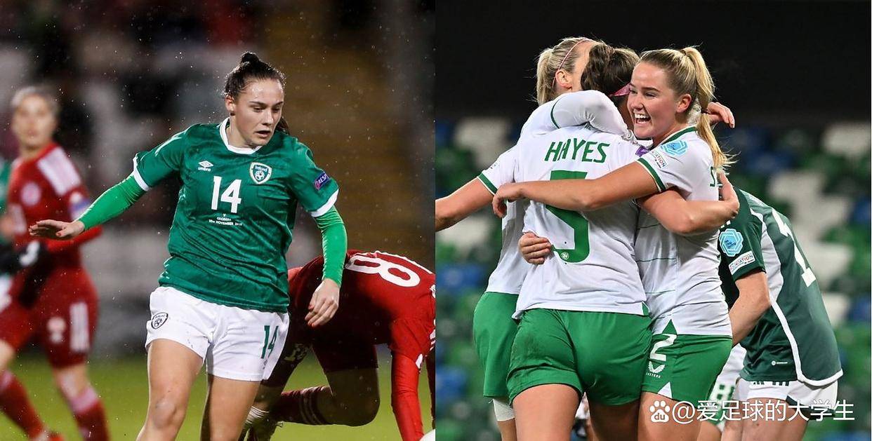关于爱尔兰主场遭遇比利时逆转，惊险失利无缘晋级的信息
