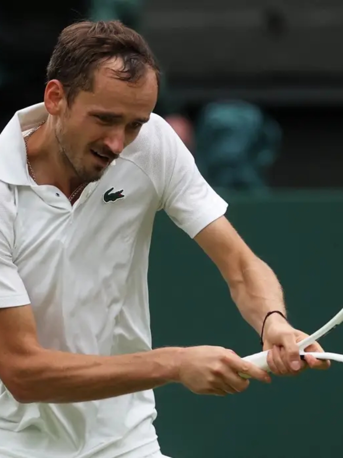 澳网逆转温网，梅德韦杰夫高光表现的简单介绍