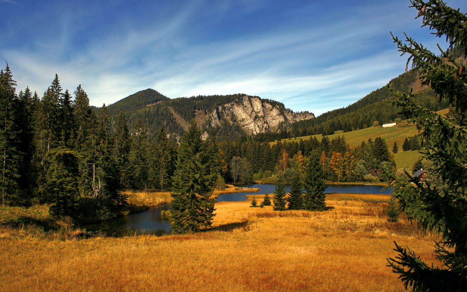 霍勒迪单骑破京防，马刺争冠路上演小城逆袭序章