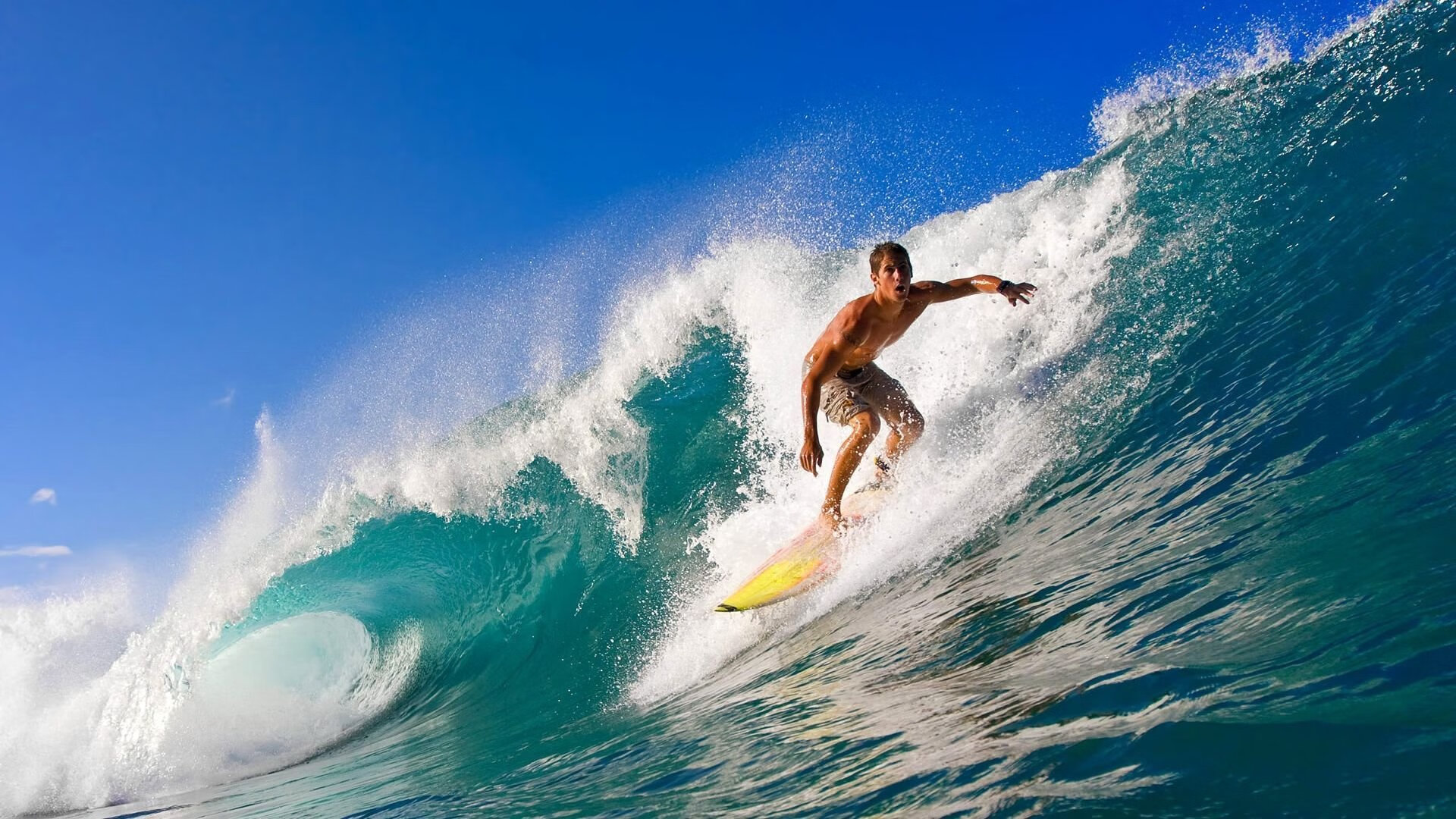 硬仗淬真金，广东队式胜利哲学与福克斯奥运周期关键接管