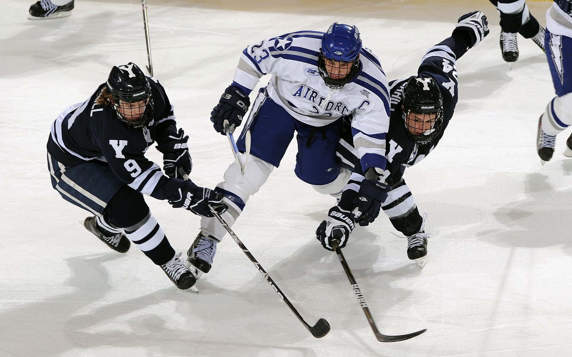 双龙会,法国险胜波兰之夜,马龙关键制胜的体育哲学